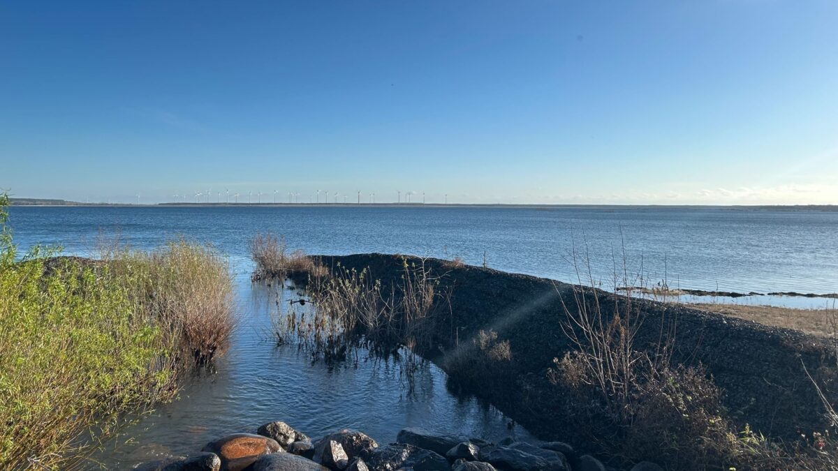 Cottbuser Ostsee